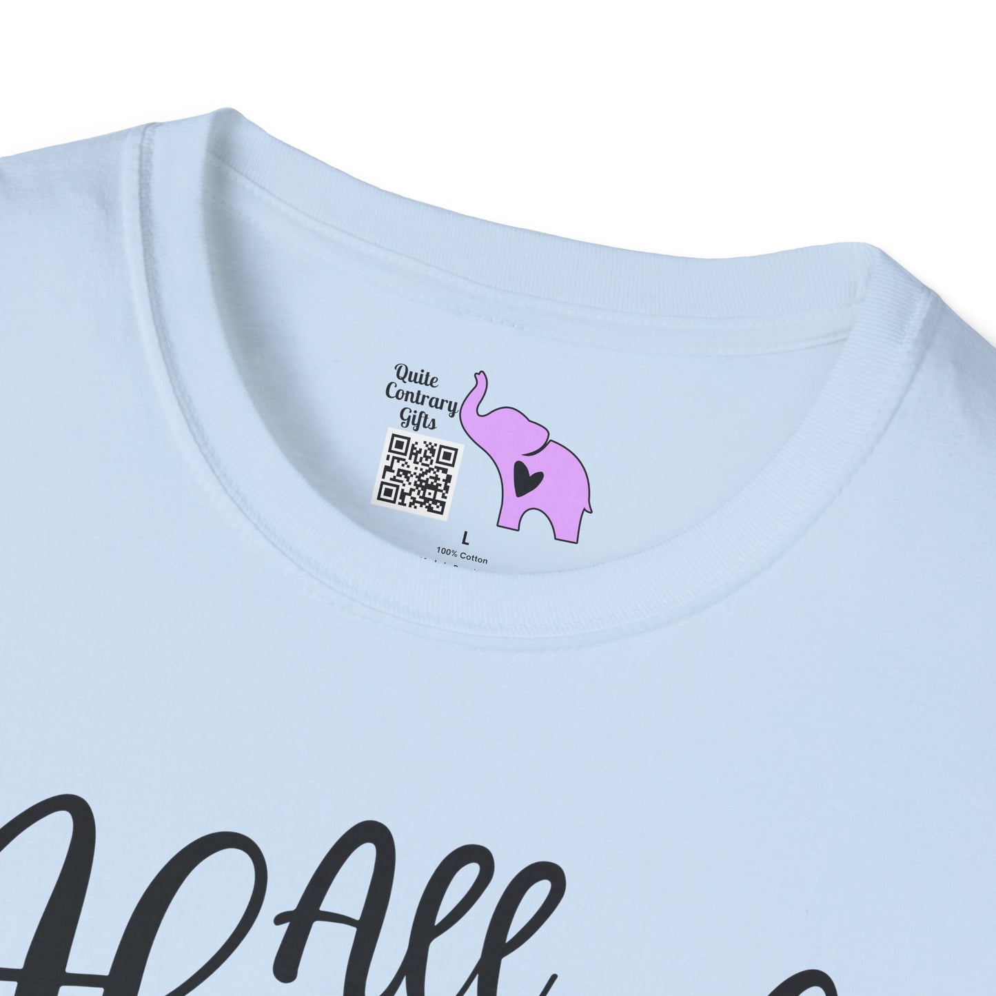 All Aboard The Hot Mess Express Adult T-shirt