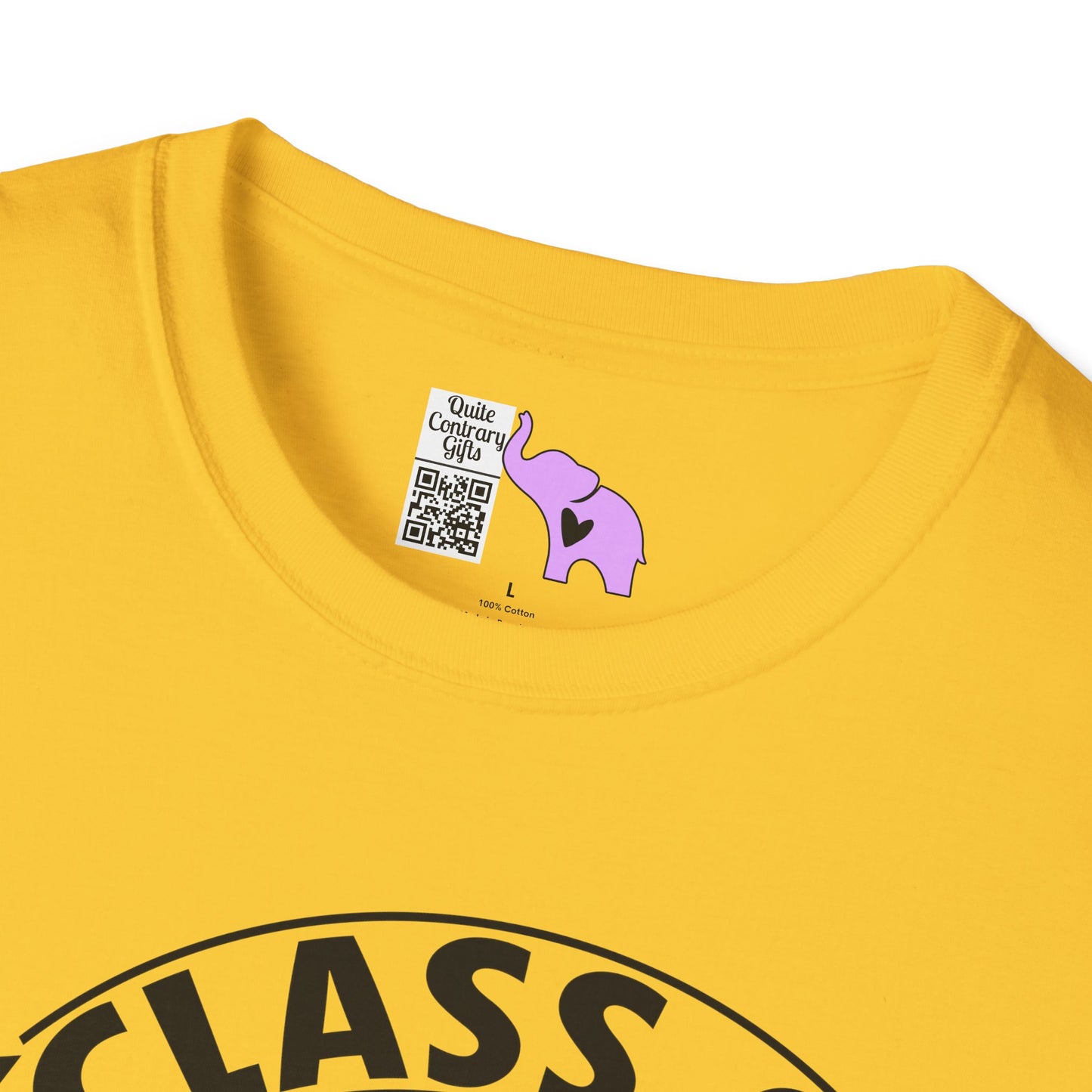 Class of 2027 Senior (Arch) Adult T-shirt