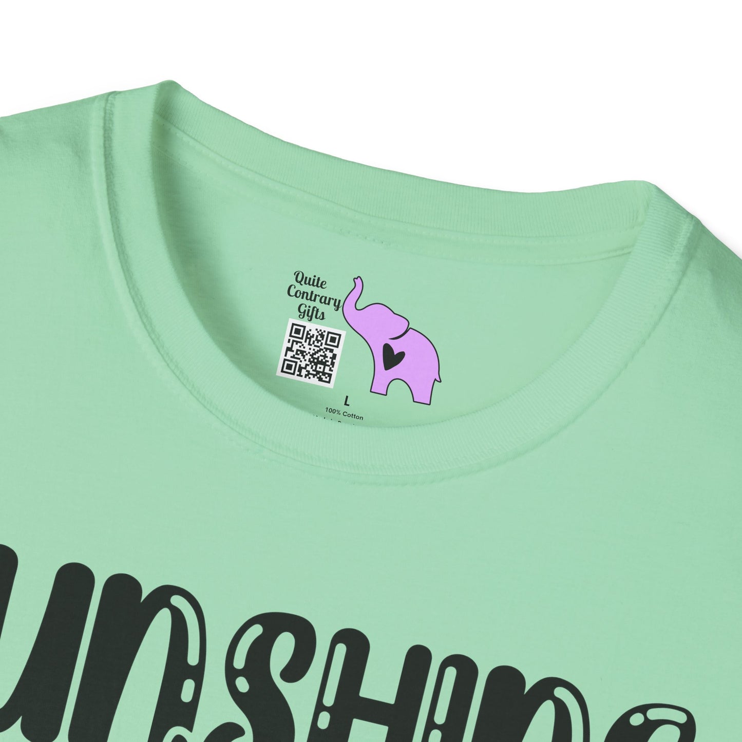 Sunshine Mixed With A Little Hurricane Adult T-shirt