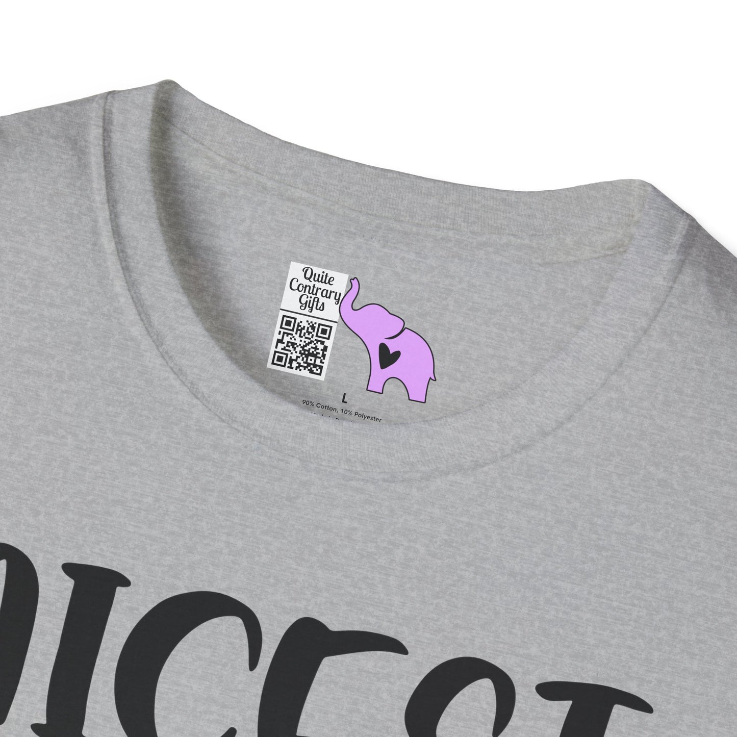 Nicest Mean Person Ever Adult T-shirt