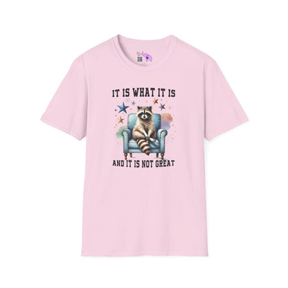 It Is What It Is And It's Not Great Racoon (2) T-shirt