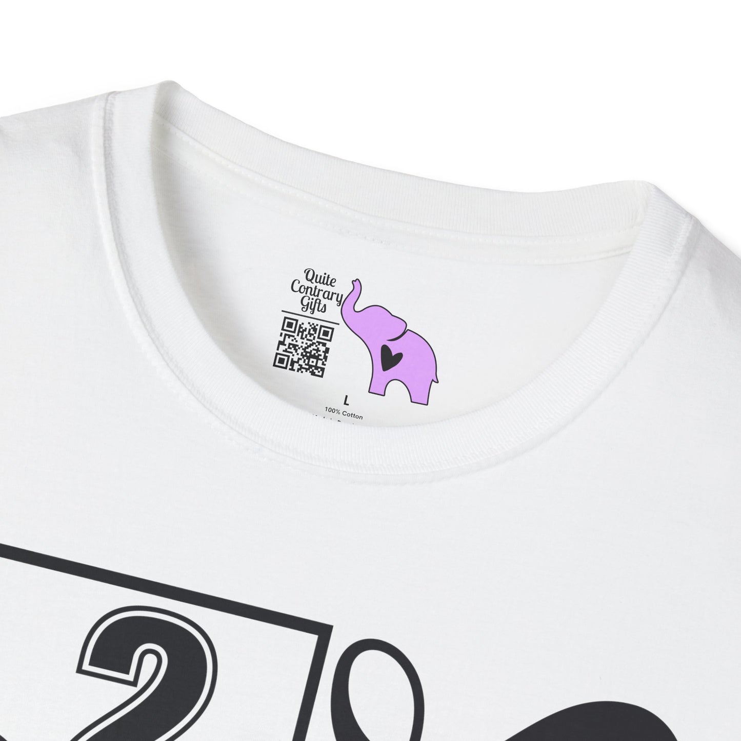 Vertical Class of 2027 Senior Adult T-shirt