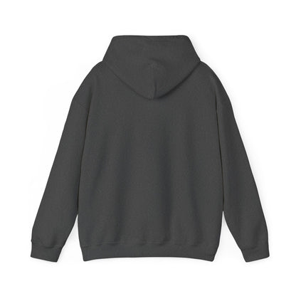 Fall Vibes Heavy Blend™ Hooded Sweatshirt