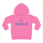 Hanukkah Toddler Pullover Fleece Hoodie