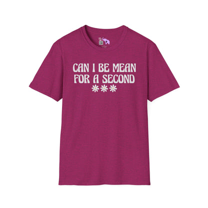 Can I Be Mean For A Second Adult T-shirt