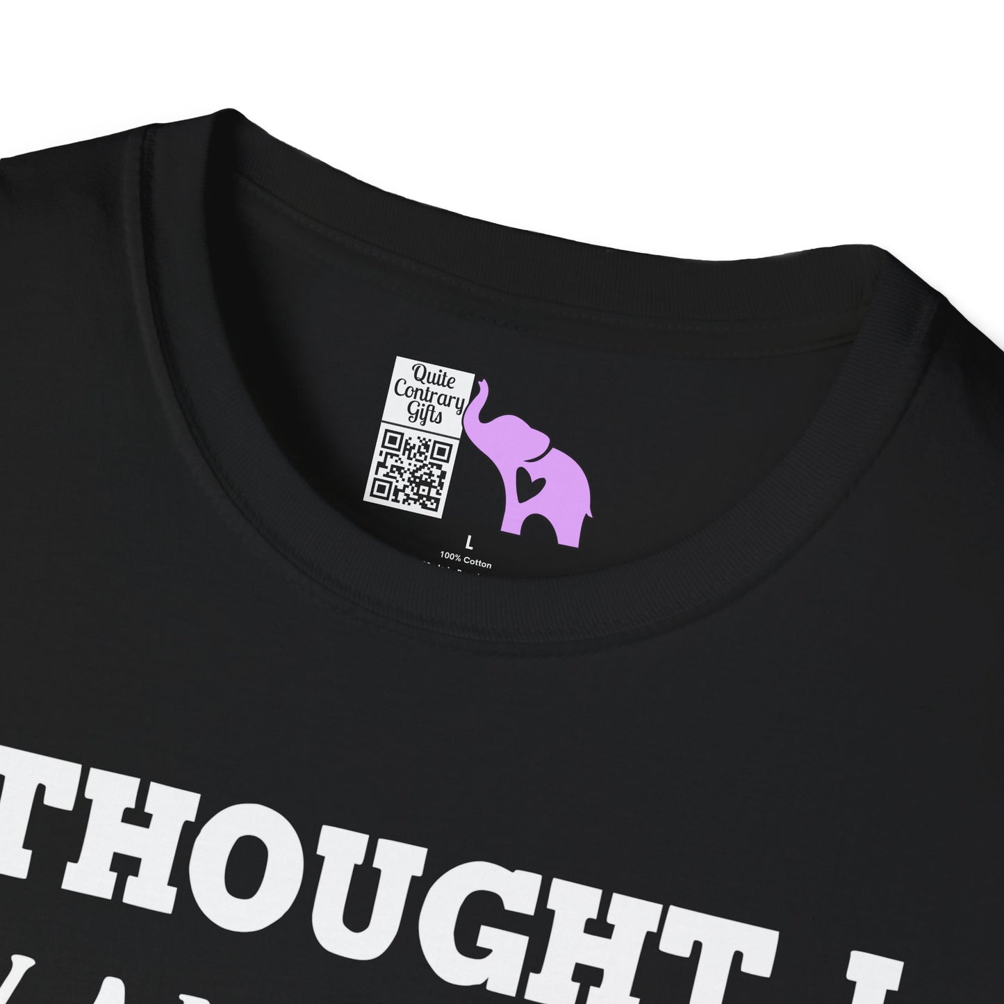 I Thought I Wanted A Career Turns Out I Just Wanted A Paycheck Adult T-shirt