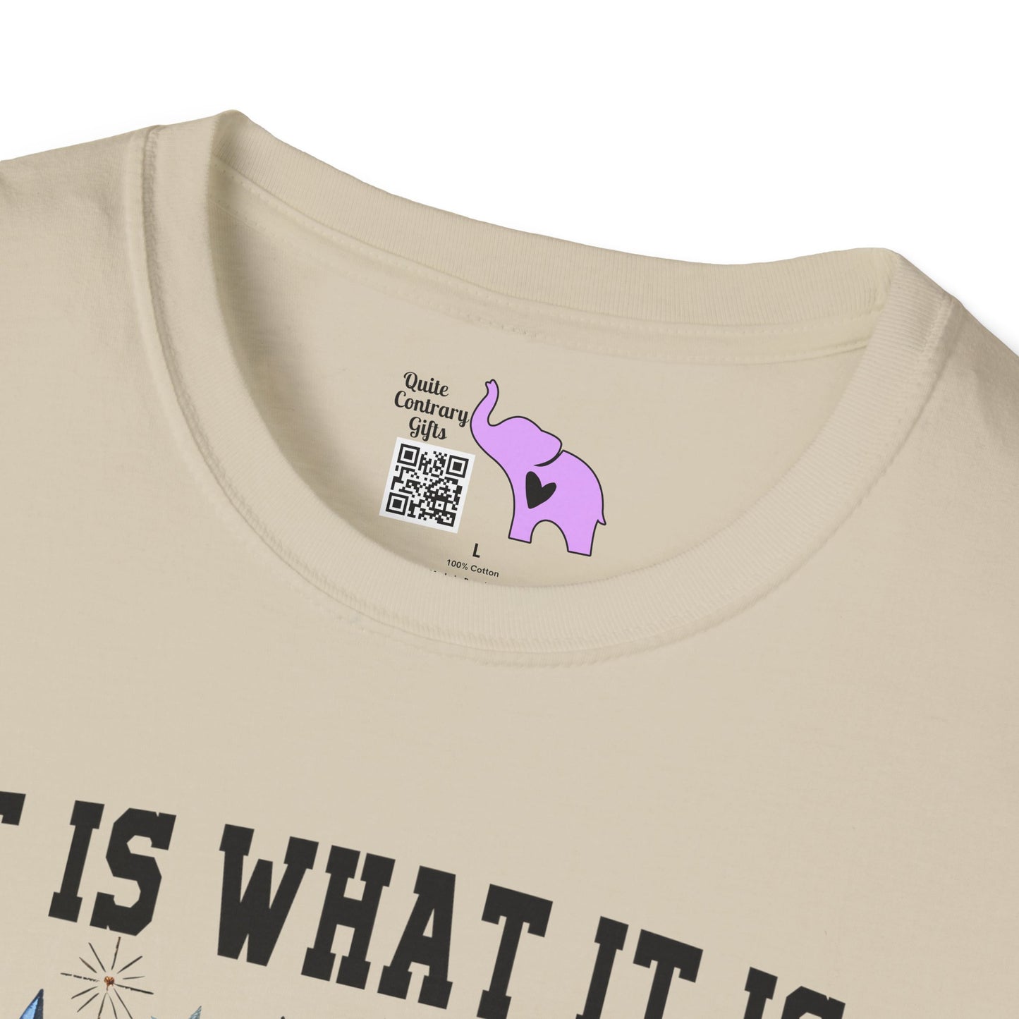 It Is What It Is And It's Not Great Racoon (2) Adult T-shirt