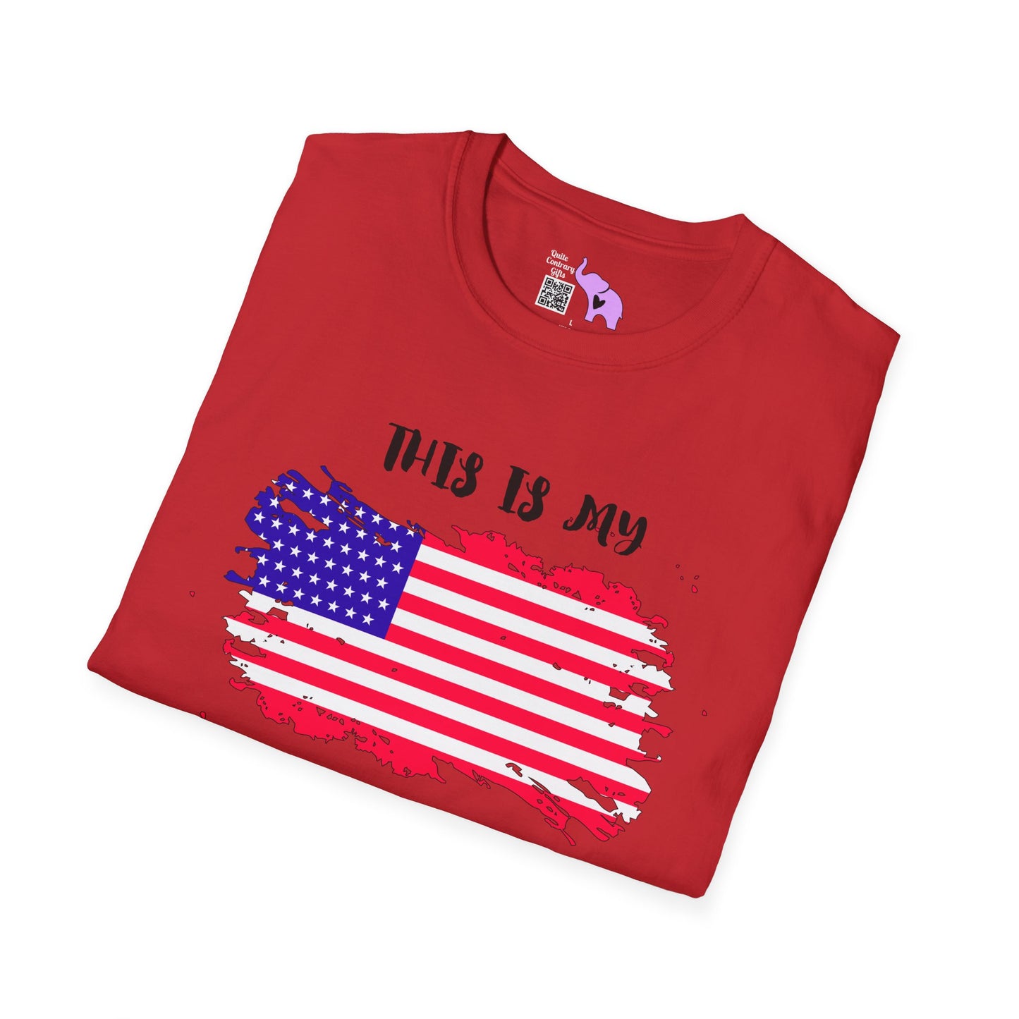 This is My Pride Flag American Flag Adult T-shirt