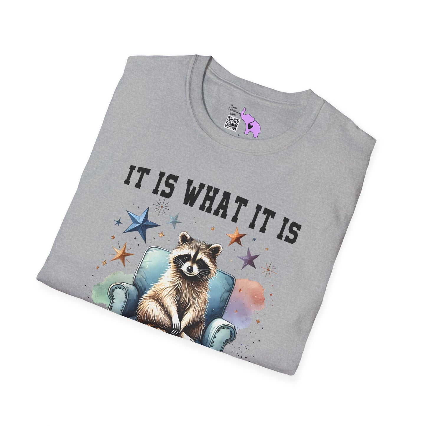 It Is What It Is And It's Not Great Racoon (2) Adult T-shirt