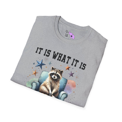It Is What It Is And It's Not Great Racoon (2) Adult T-shirt