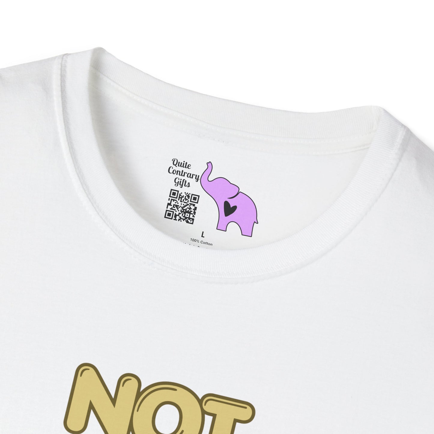 Not Friendly Do Not Touch Adult  T-shirt