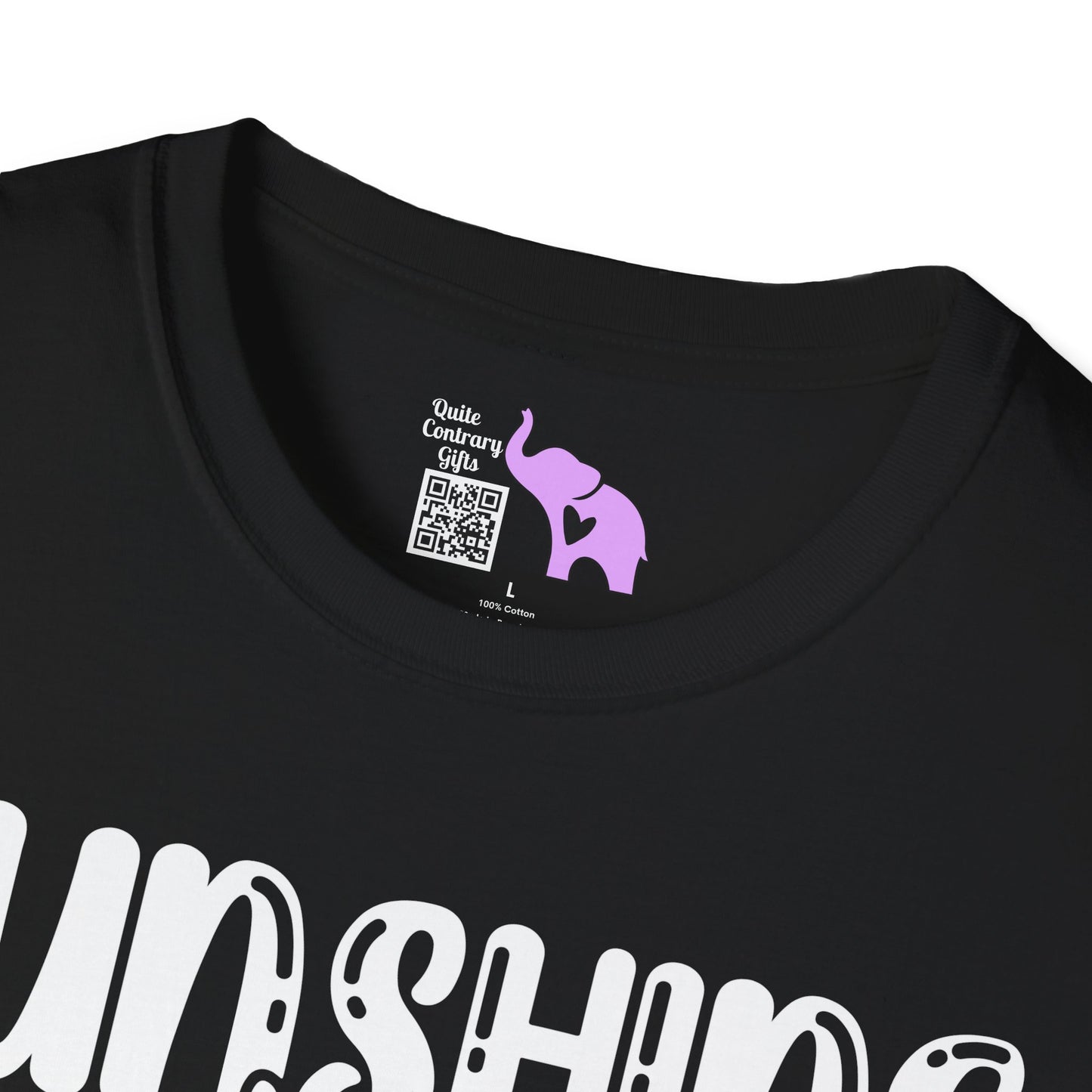 Sunshine Mixed With A Little Hurricane Adult T-shirt