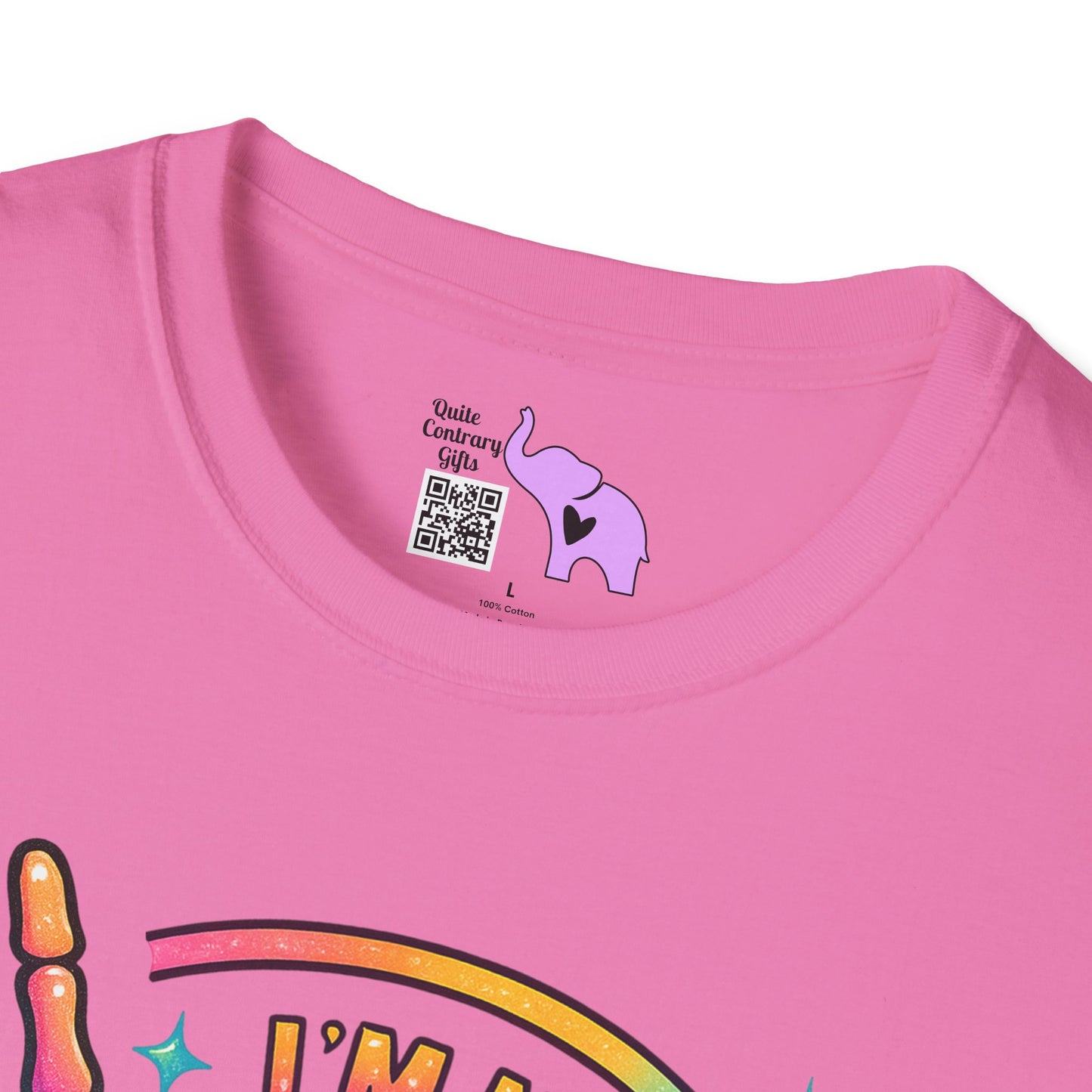 I'm Not Mean I'm Spicy Nice Adult T-shirt