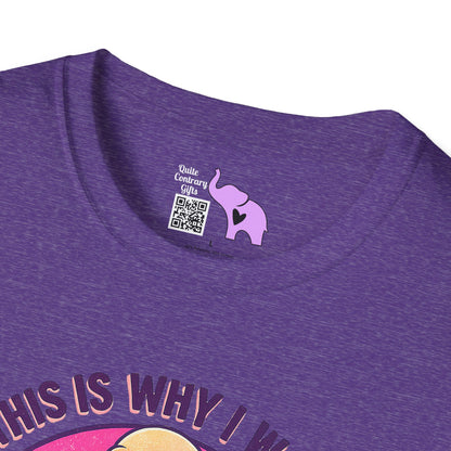 And This Is Why I Wanted To Stay Home All This Right Here Adult T-shirt