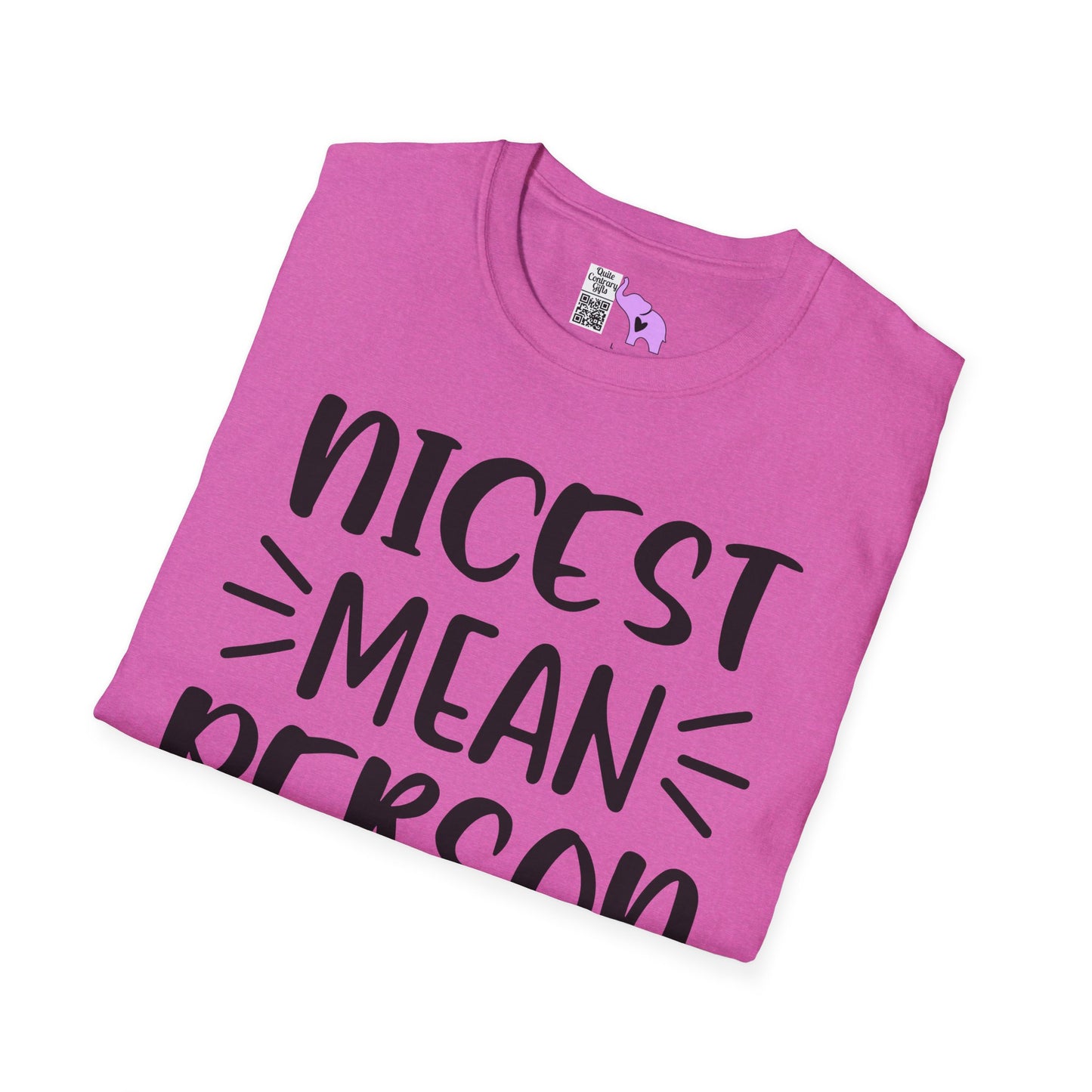 Nicest Mean Person Ever Adult T-shirt