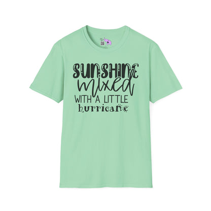 Sunshine Mixed With A Little Hurricane Adult T-shirt