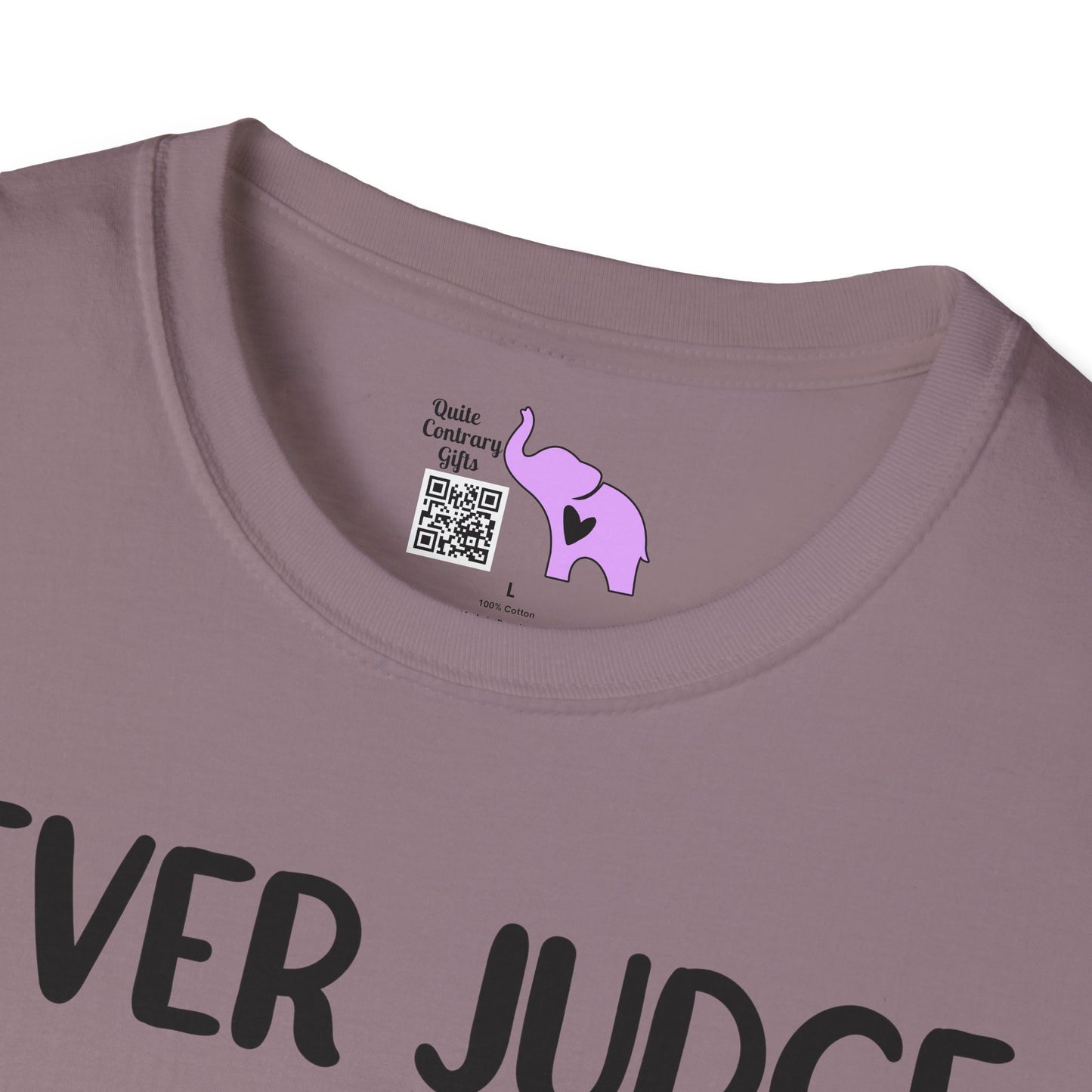 Never Judge Someone By The Visibility Of Their Illness Adult T-shirt