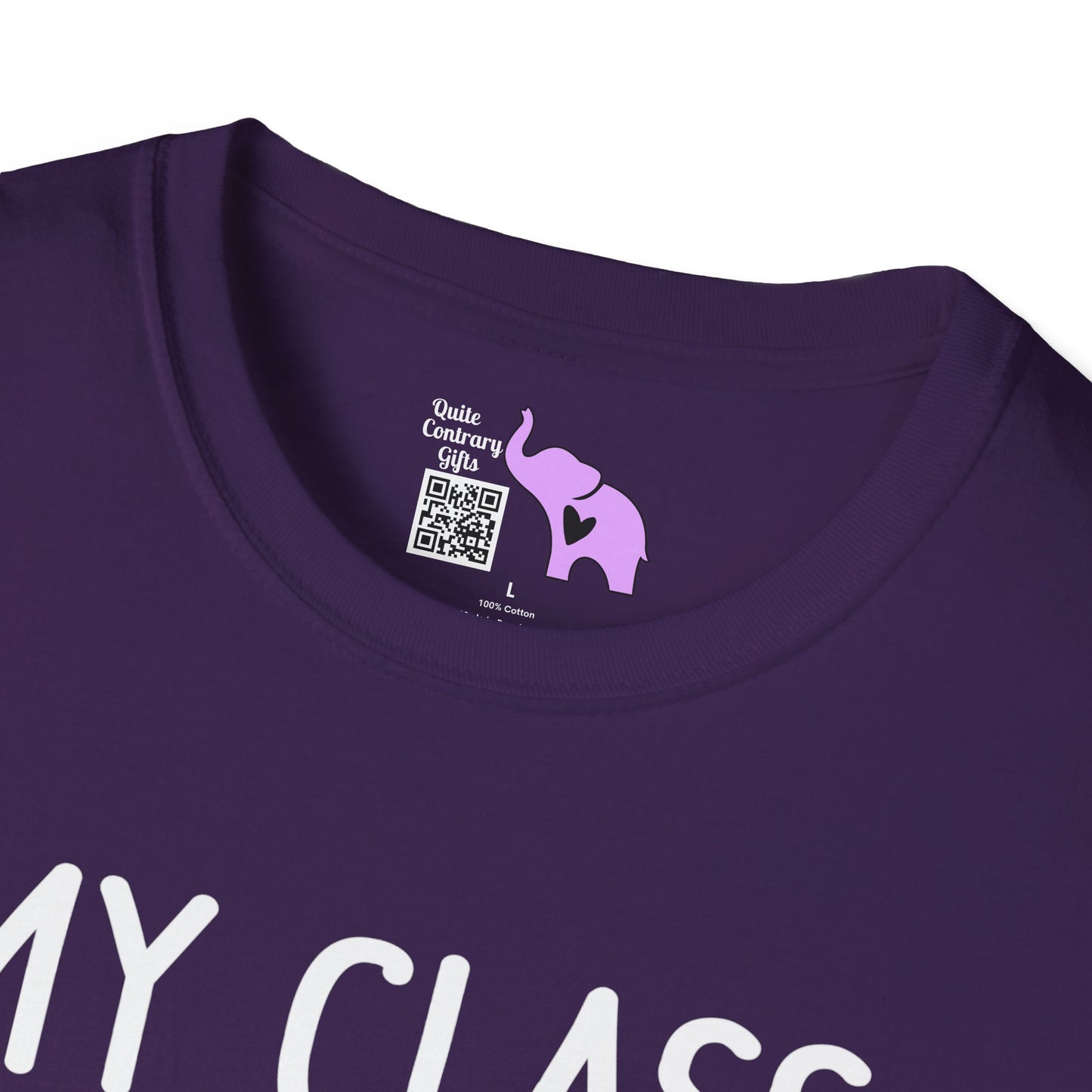 My Class is Full of Sweet Hearts Adult T-shirt