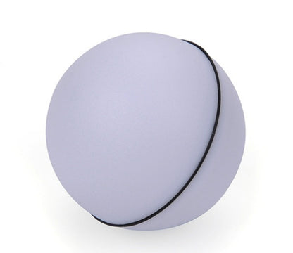 Zoomie Light Ball for Pets