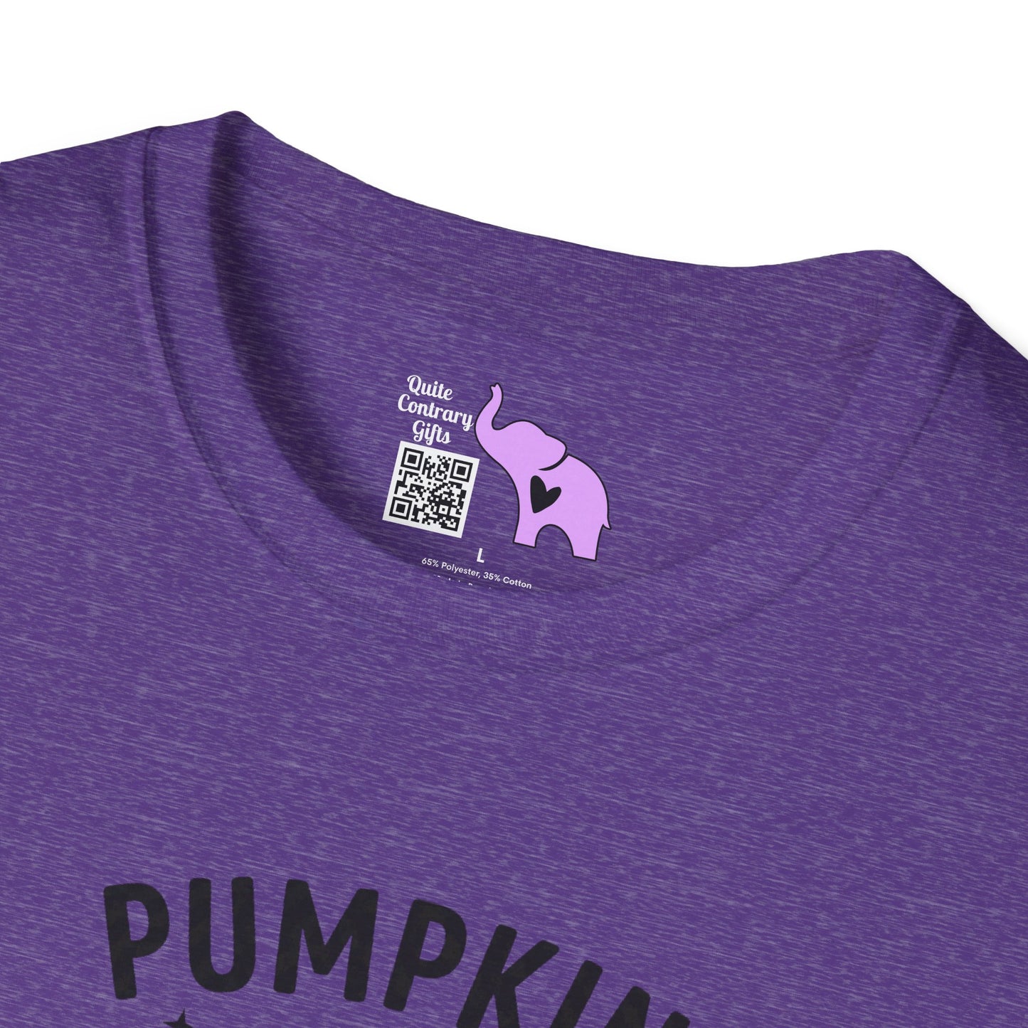 Pumpkin Season Adult T-shirt