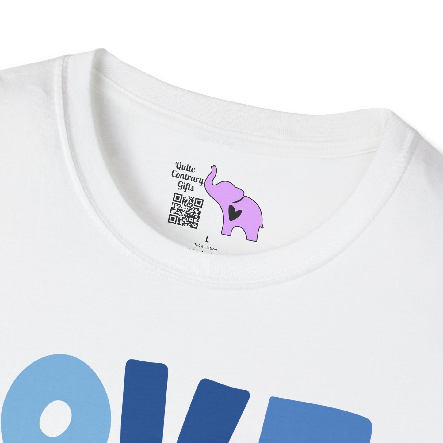 Hanukkah Love & Light 2 Adult T-shirt