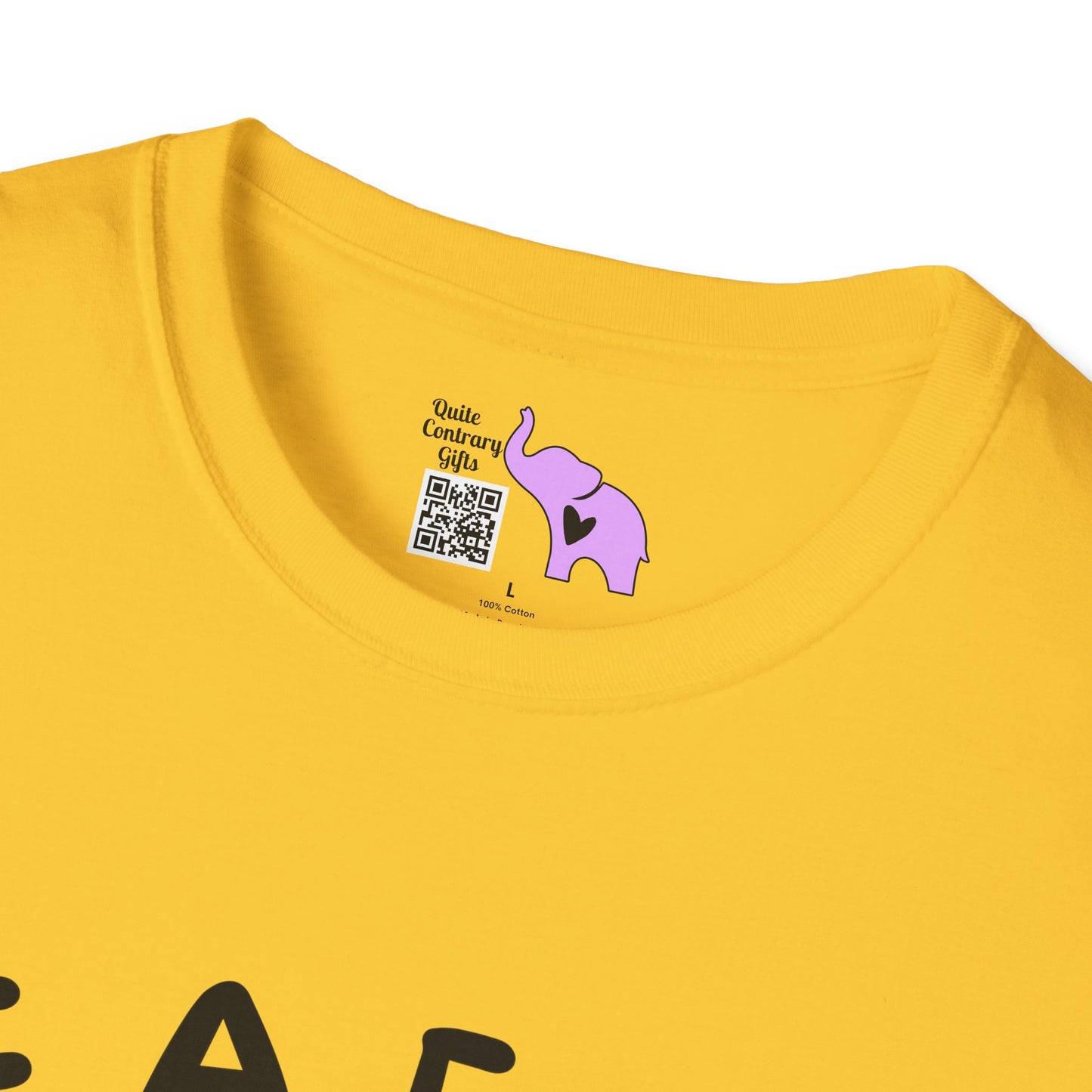 Fiddle Around & Find Out Adult T-shirt