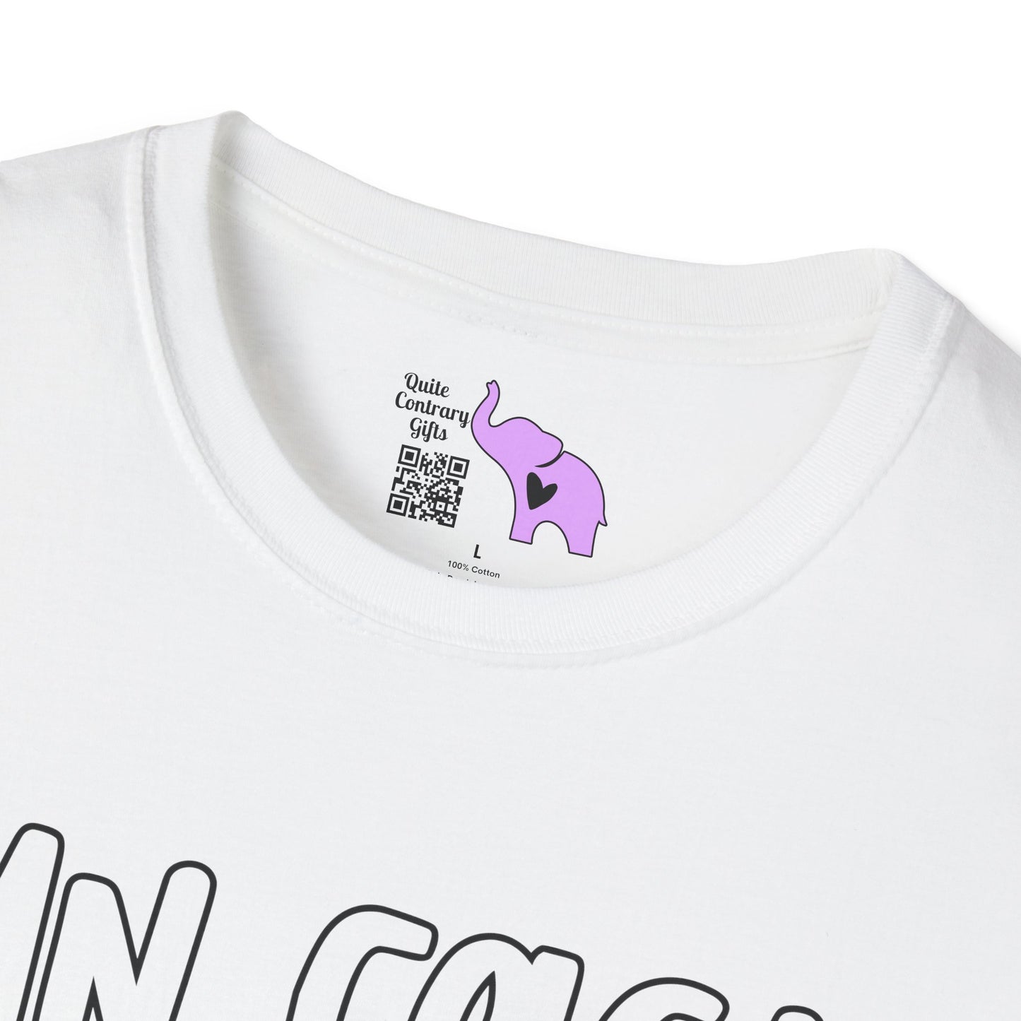 Fun Fact I Don't Care Adult T-shirt