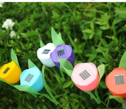 Tulip Solar Garden Lights