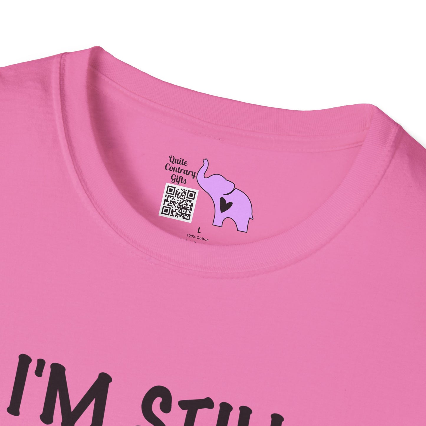 I'm Still Hot It Just Comes In Flashes Adult T-shirt