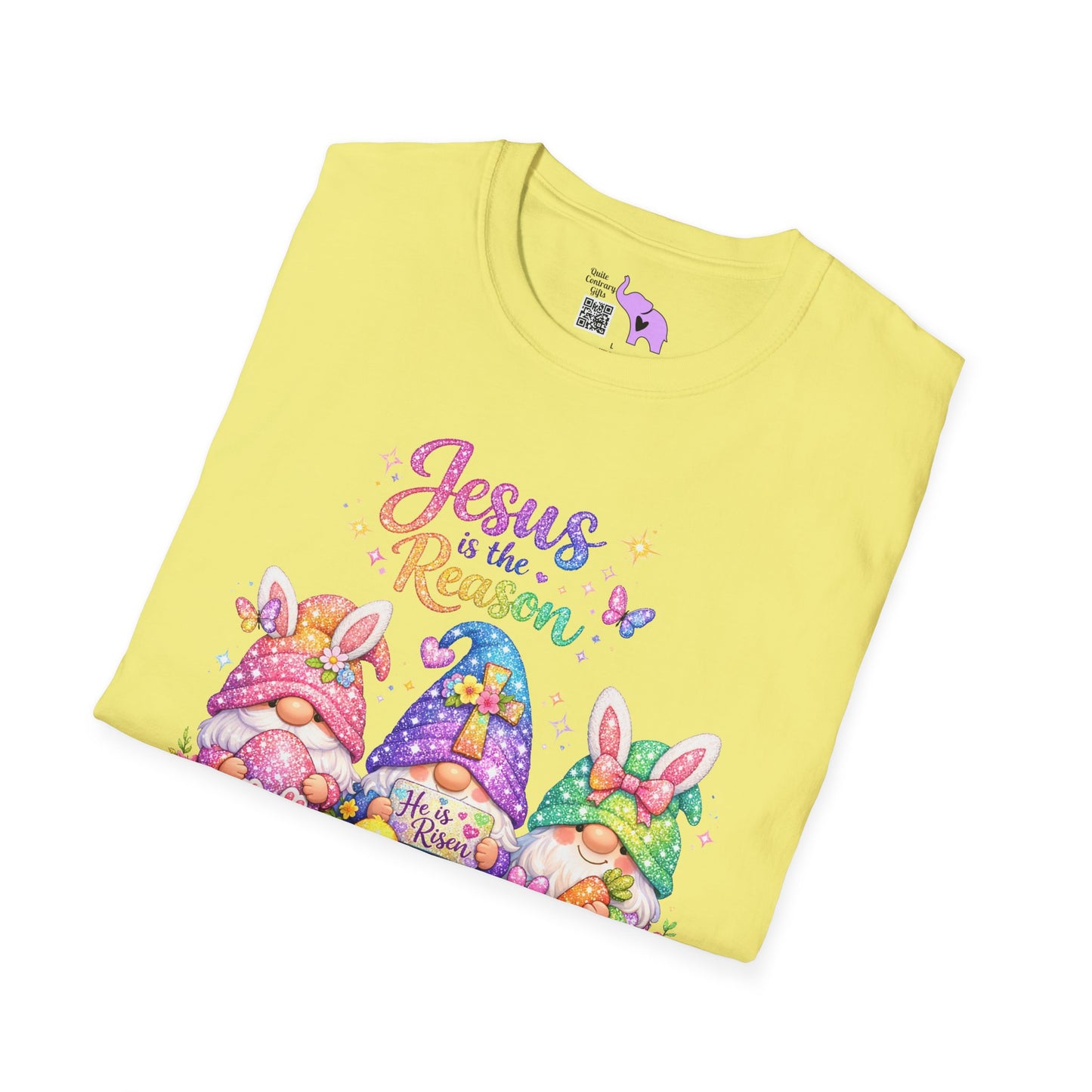 Jesus Is The Reason Adult T-shirt
