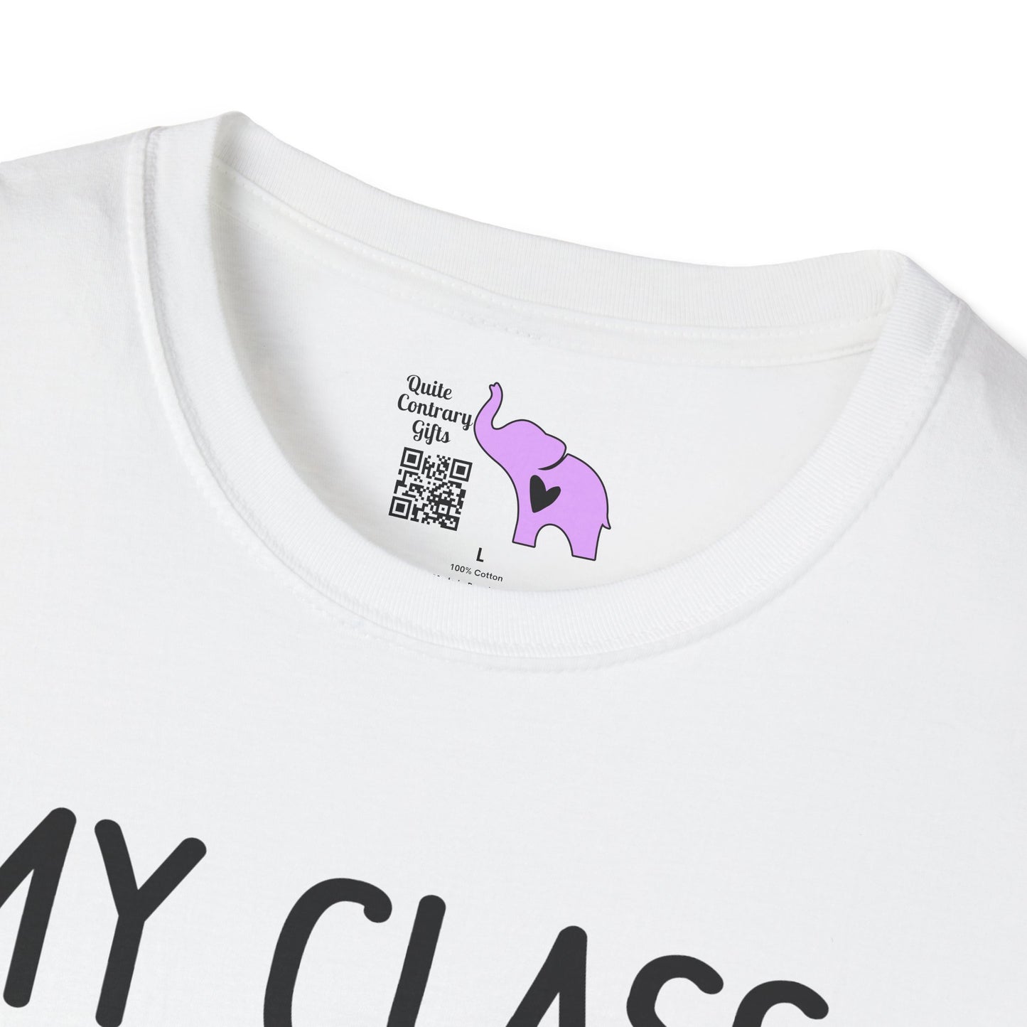 My Class is Full of Sweet Hearts Adult T-shirt