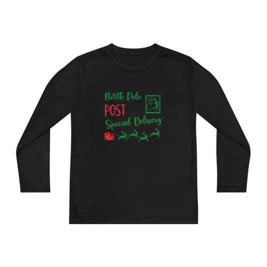 North Pole Post Special Delivery Youth Long Sleeve Tee