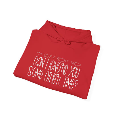 I'm Busy Right Now Can I Ignore You Later? Heavy Blend™ Hooded Sweatshirt