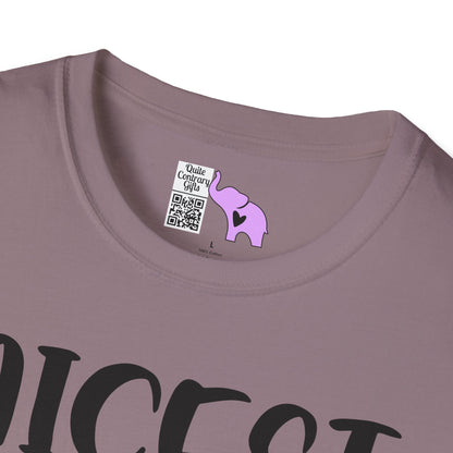 Nicest Mean Person Ever Adult T-shirt