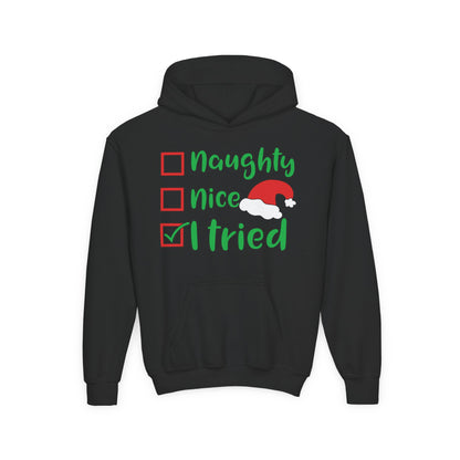 Naughty Nice I Tried Youth Hoodie