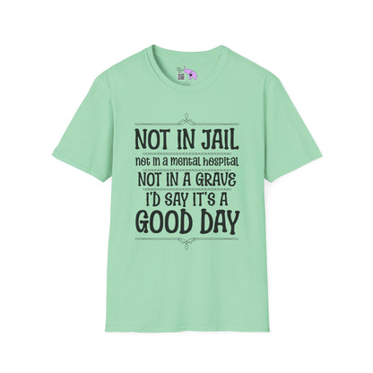 Not In A Jail/Mental Hospital/Dead I'd Say It's A Good Day Adult T-shirt