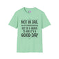 Not In A Jail/Mental Hospital/Dead I'd Say It's A Good Day Adult T-shirt
