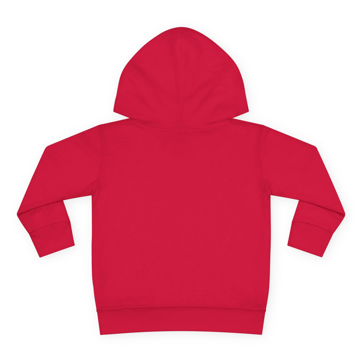 What Is This Word No That You Speak Of? Toddler Hoodie