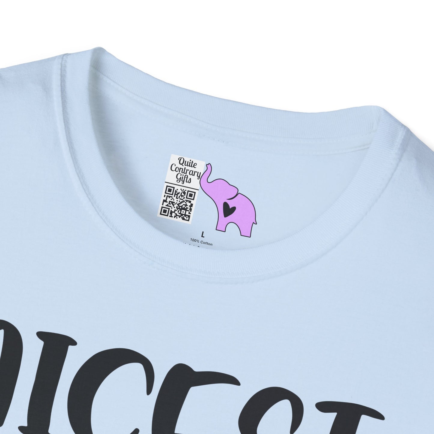 Nicest Mean Person Ever Adult T-shirt