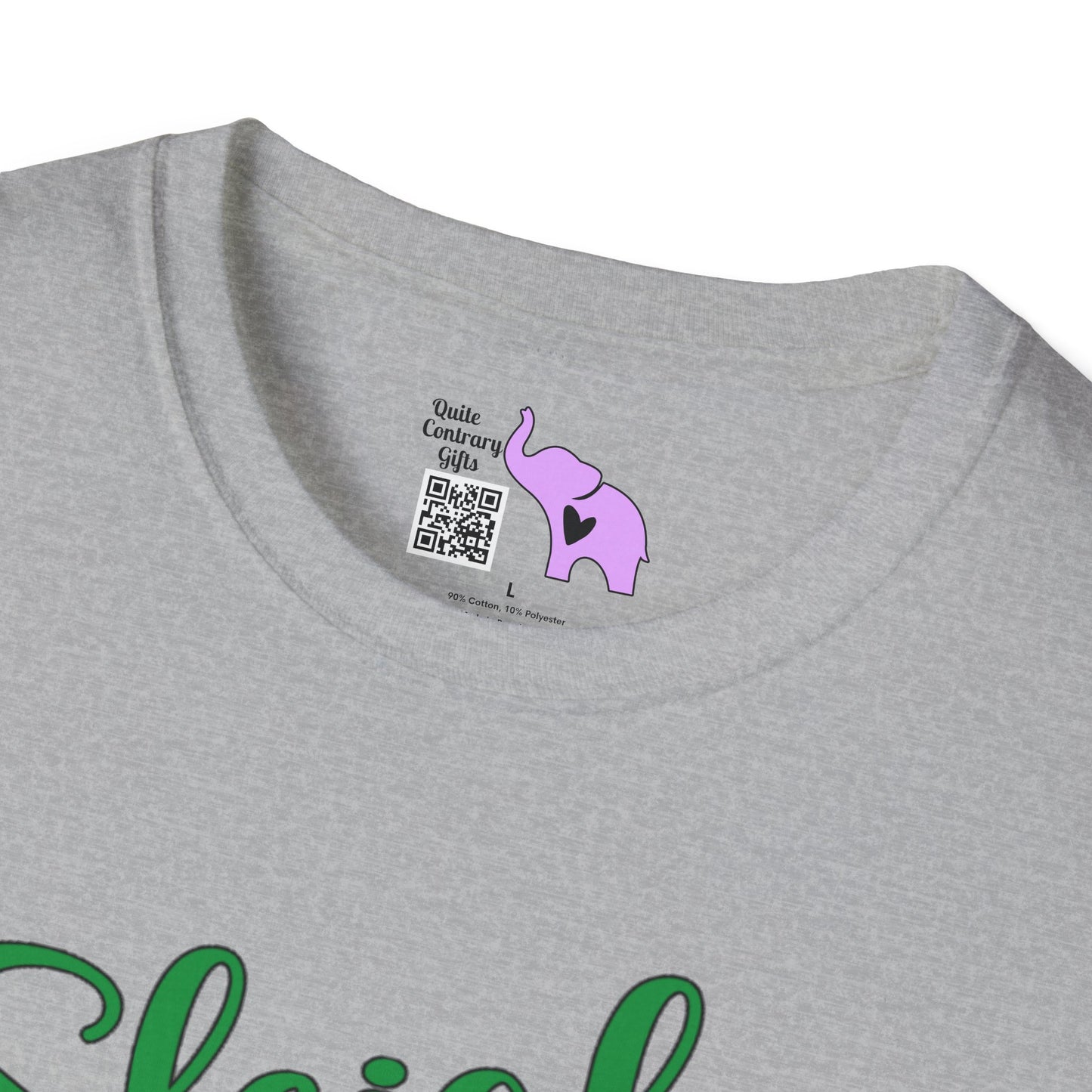 Sleigh Hair Don't Care Adult T-shirt