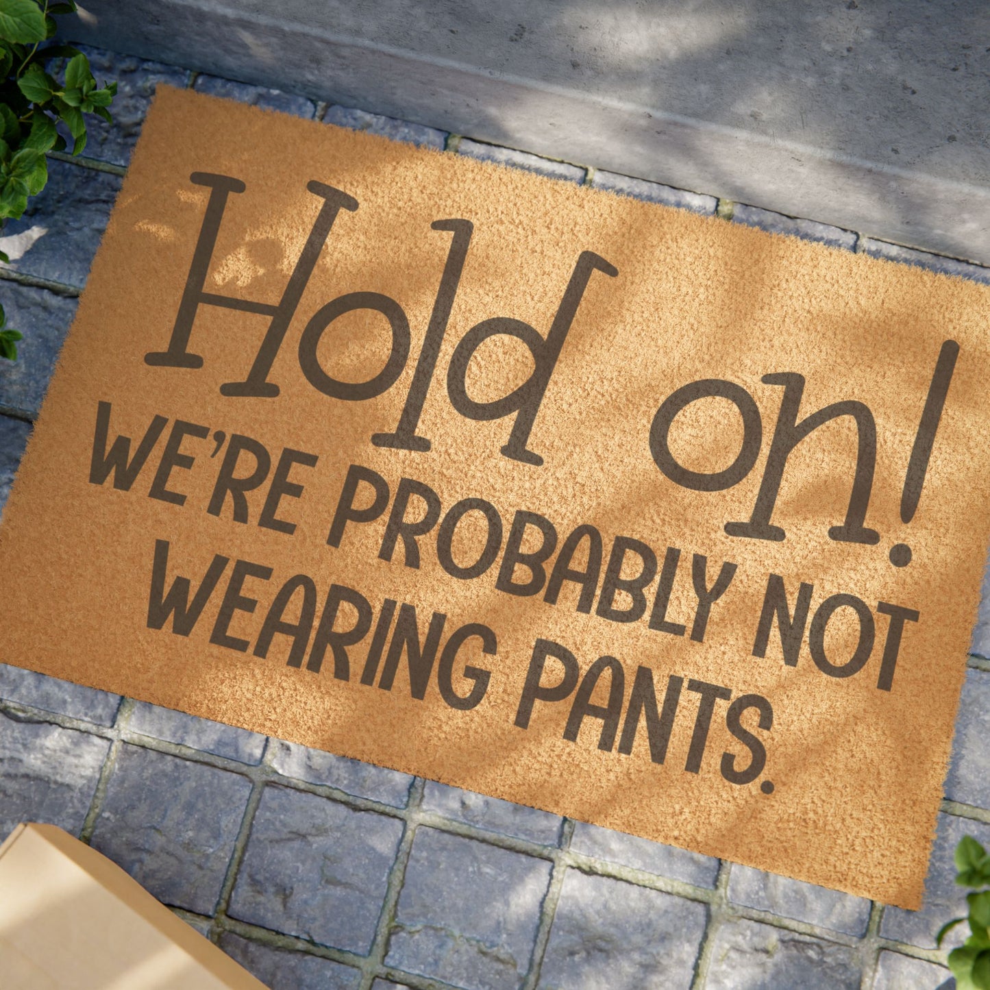 Hold On! We're Probably Not Wearing Pants Coconut Fiber Doormat