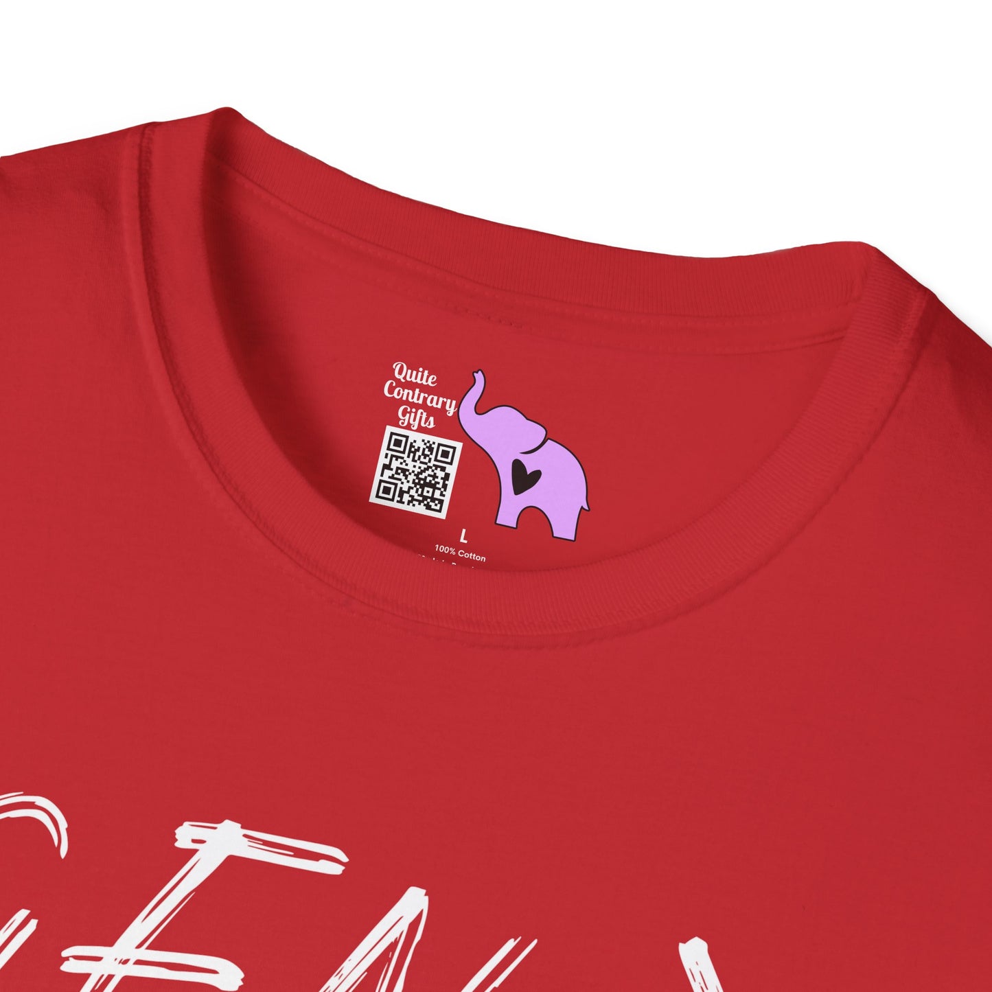 Gen X Vintage Chaos, Undocumented Adult T-shirt