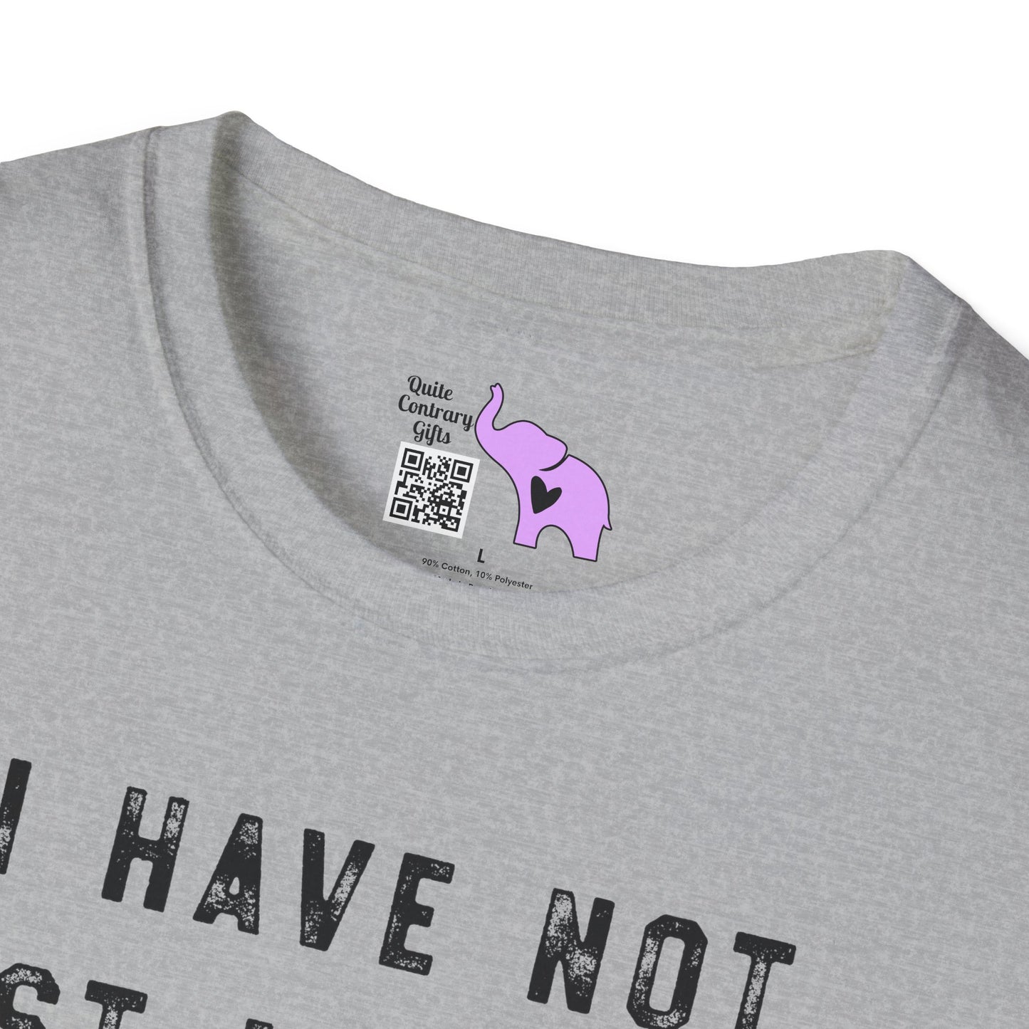 I Have Not Lost My Mind It's Backed Up On A Disk Adult T-shirt