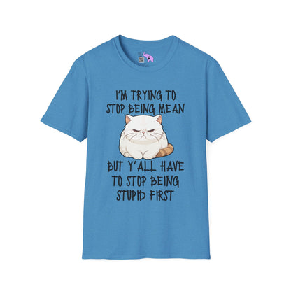I'm Trying To Stop Being Mean But Yall Have To Stop Being Stupid First Adult T-shirt