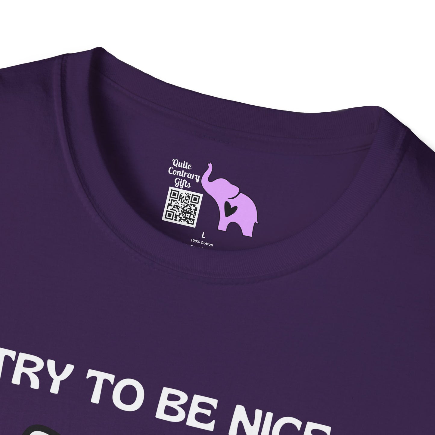 I Try To Be Nice But People Are Stupid T-shirt