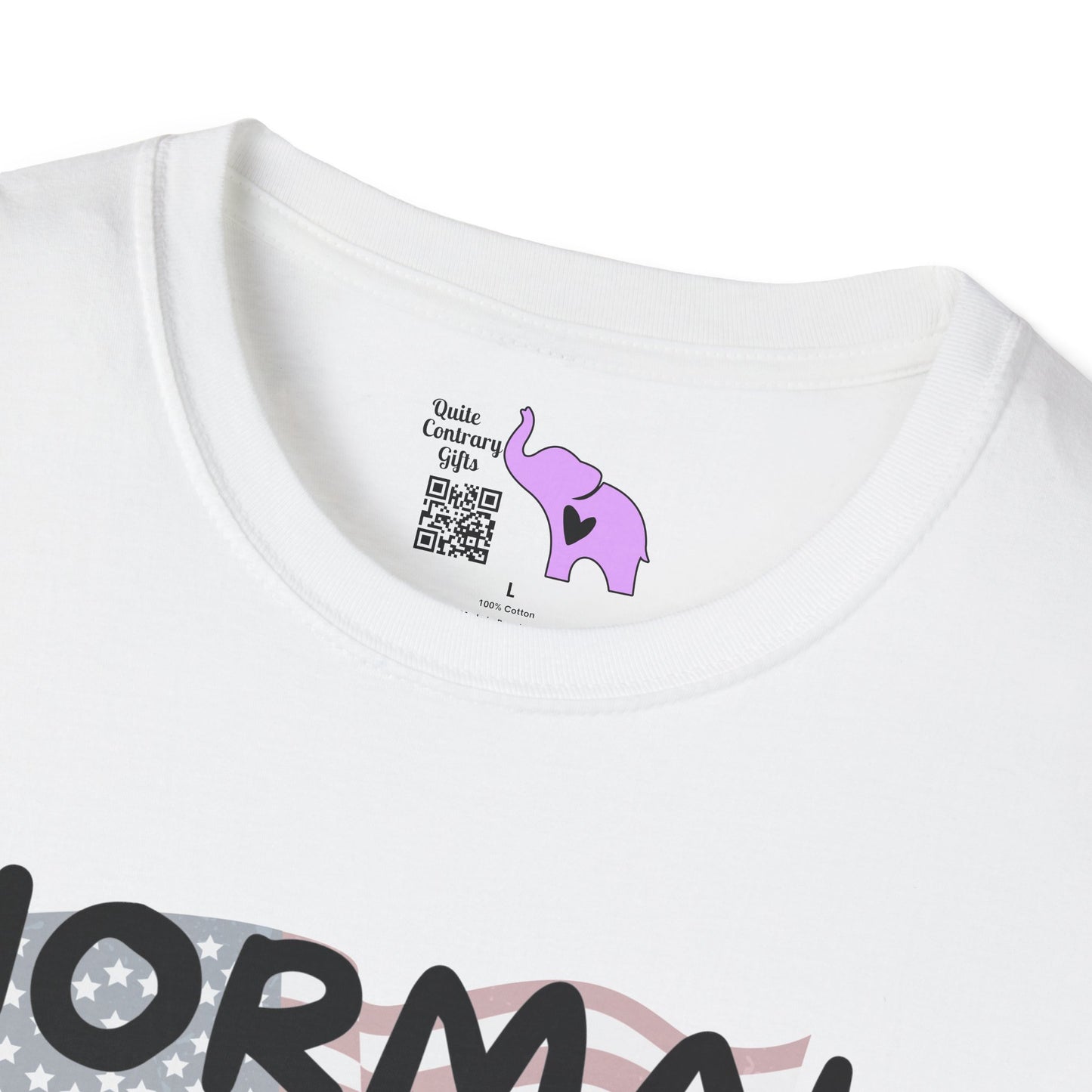 Normal Isn't Coming Back But Jesus Is Adult T-shirt