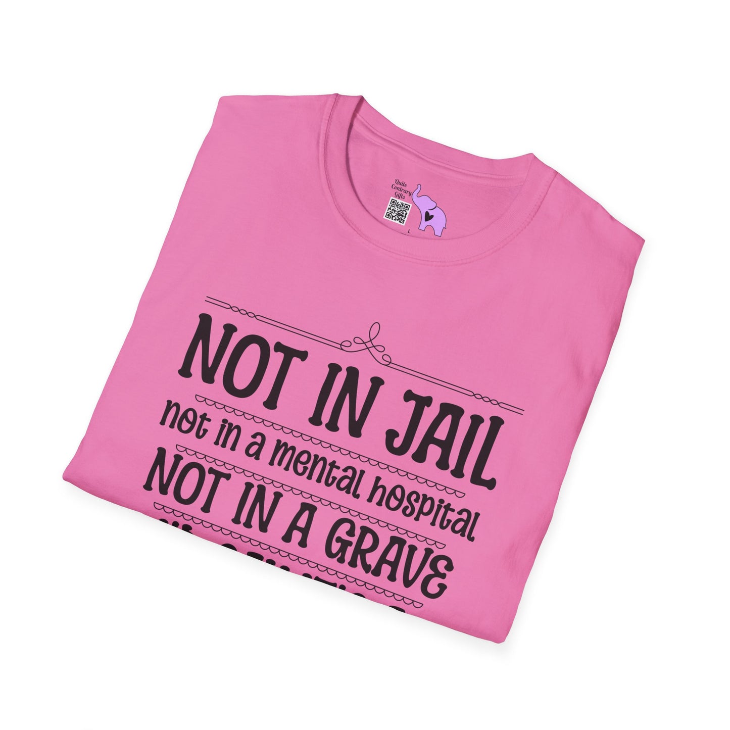 Not In A Jail/Mental Hospital/Dead I'd Say It's A Good Day Adult T-shirt