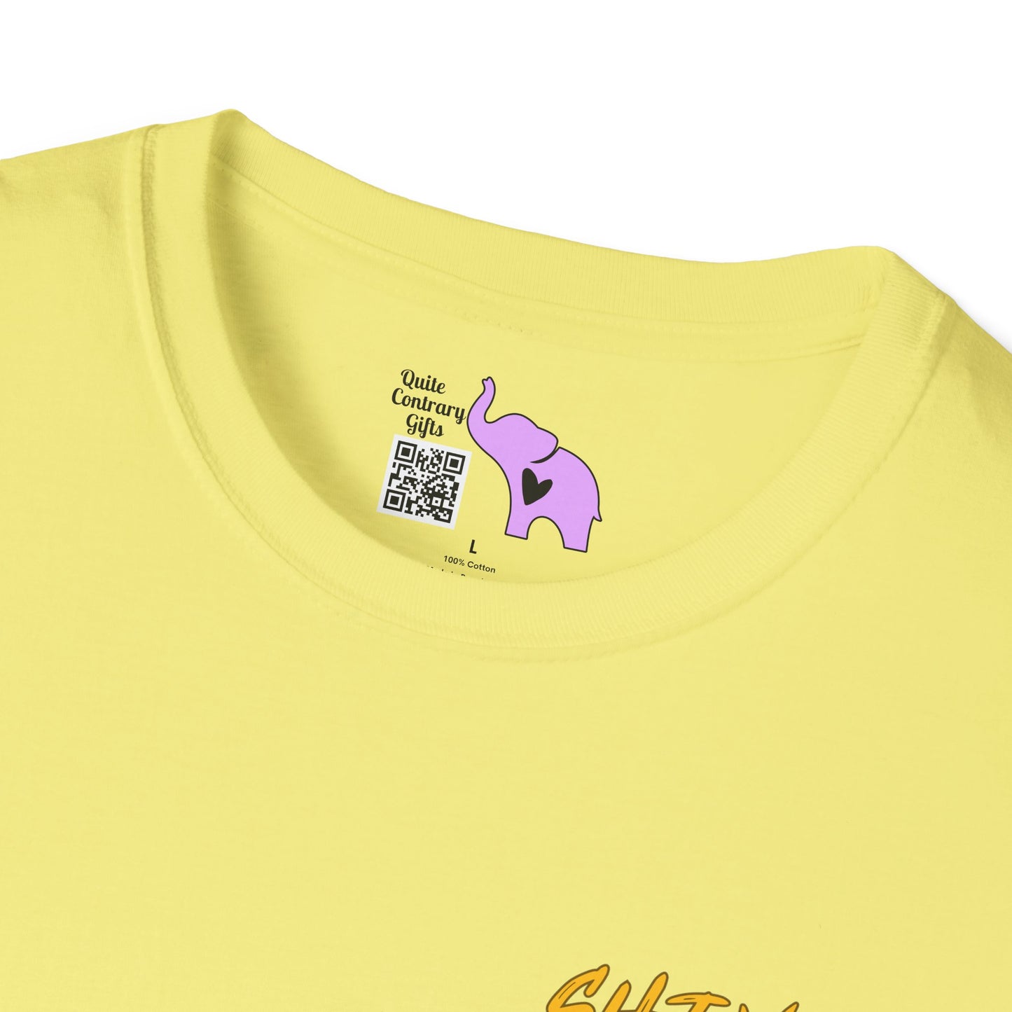 Don't Shine So That Others Can See You, Shine So That Through You, Others Can See HIM Adult T-shirt