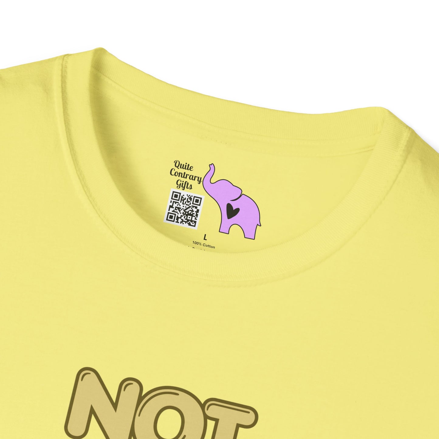 Not Friendly Do Not Touch T-shirt