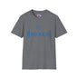 Hanukkah Adult T-shirt